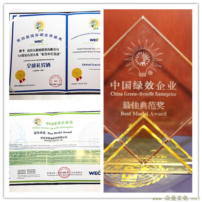 五粮液公司荣获中国绿效企业奖